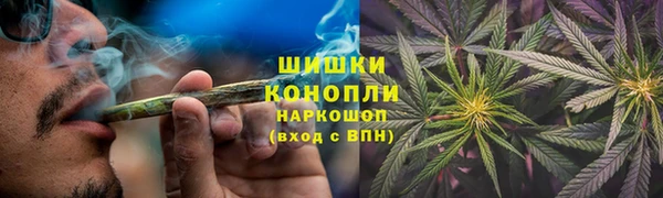 трава Богородицк