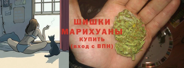 трава Богородицк