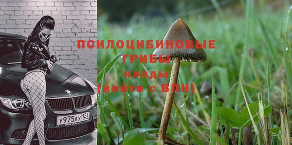 трава Богородицк